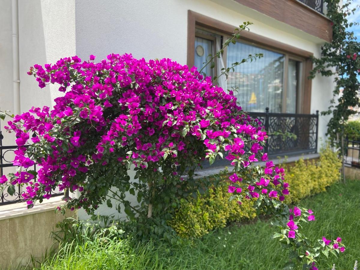 Yelken Pansiyon Sinop Exterior foto